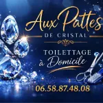 Aux pattes de cristal - Toilettage à domicile