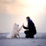 Promenade et garde d'animaux à leurs domicile🐶🐱🐰
Balades collectives